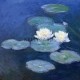 Water Lilies Claude Monet