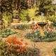 The Artists Garden
