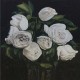 Chlak drawing of white roses