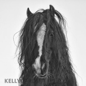 black and white photograph portrait of a horse's head
