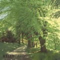 painting of trees filled with sunlight