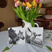 two black and white greeting cards and a jug of tulips
