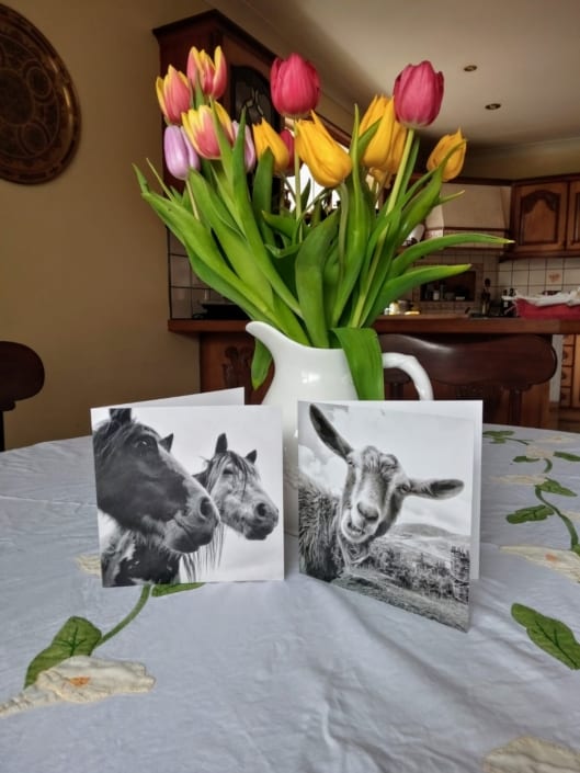Happy Easter two black and white greeting cards and a jug of tulips