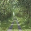A green lane with grass growing in the middle