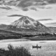 black and white photograph of Errigal mountain with a fishing boat in the lake